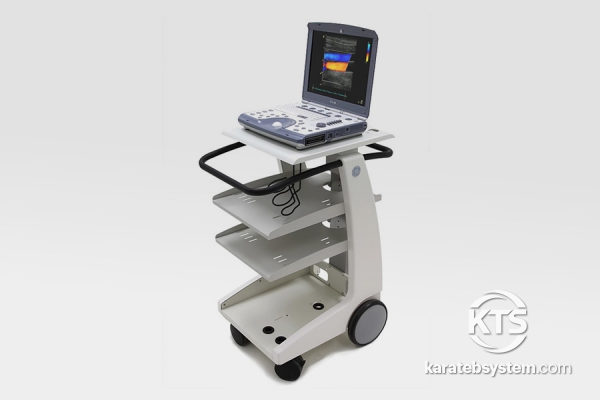 GE Vivid i Cardiovascular Ultrasound System