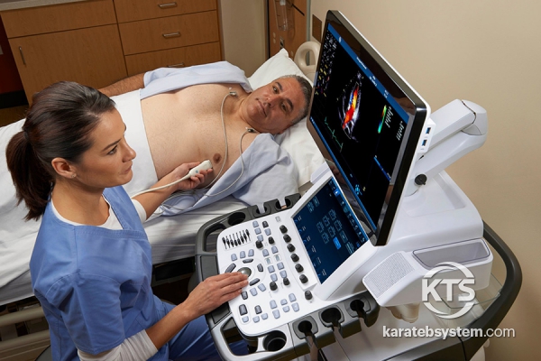 GE Vivid E95 Cardiovascular Ultrasound System