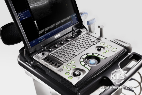 GE Logiq E Portable Ultrasound System