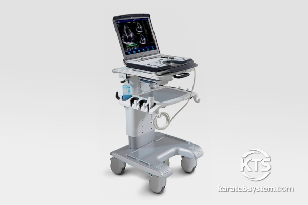 GE Vivid q Cardiovascular Ultrasound System